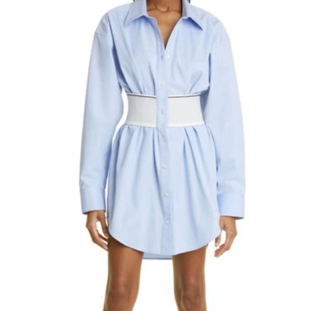 Alexander Wang Light Blue Garment with White Accents